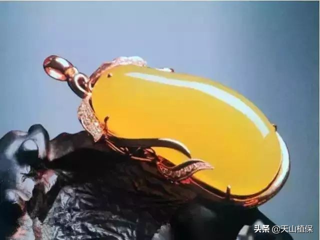 鉴别金丝楠的七大妙招你知道几招,鉴别金丝玉真假最简单的方法