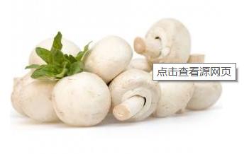 种植双孢菇需要打药吗,种植双孢菇的视频