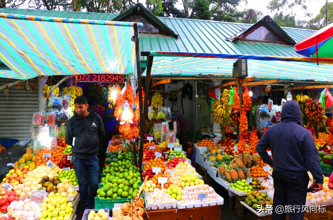 去斯里兰卡必做的事情,去斯里兰卡旅游攻略