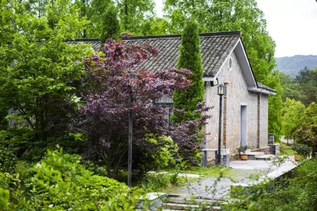 降温了一起去泡温泉,天气微凉正是泡温泉的好时候