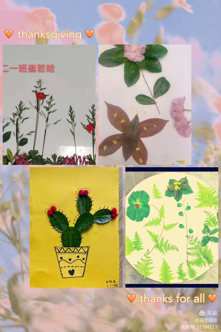 春雨润童心清明祭情怀