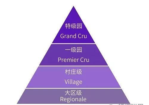 法国葡萄酒产区位于北纬多少度,法国葡萄酒产区burgundy