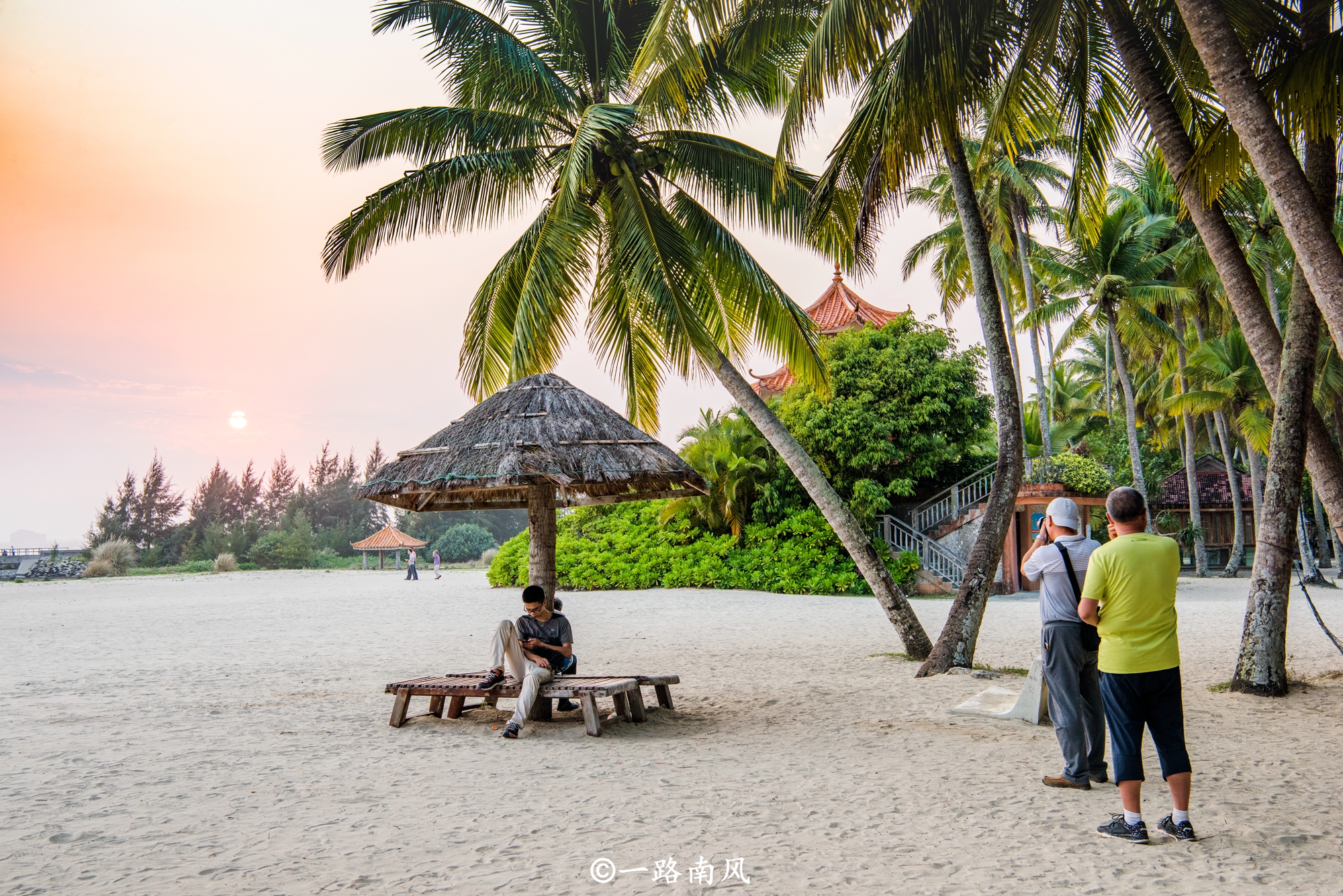 海南椰子最漂亮的地方,海南椰子最多的地方