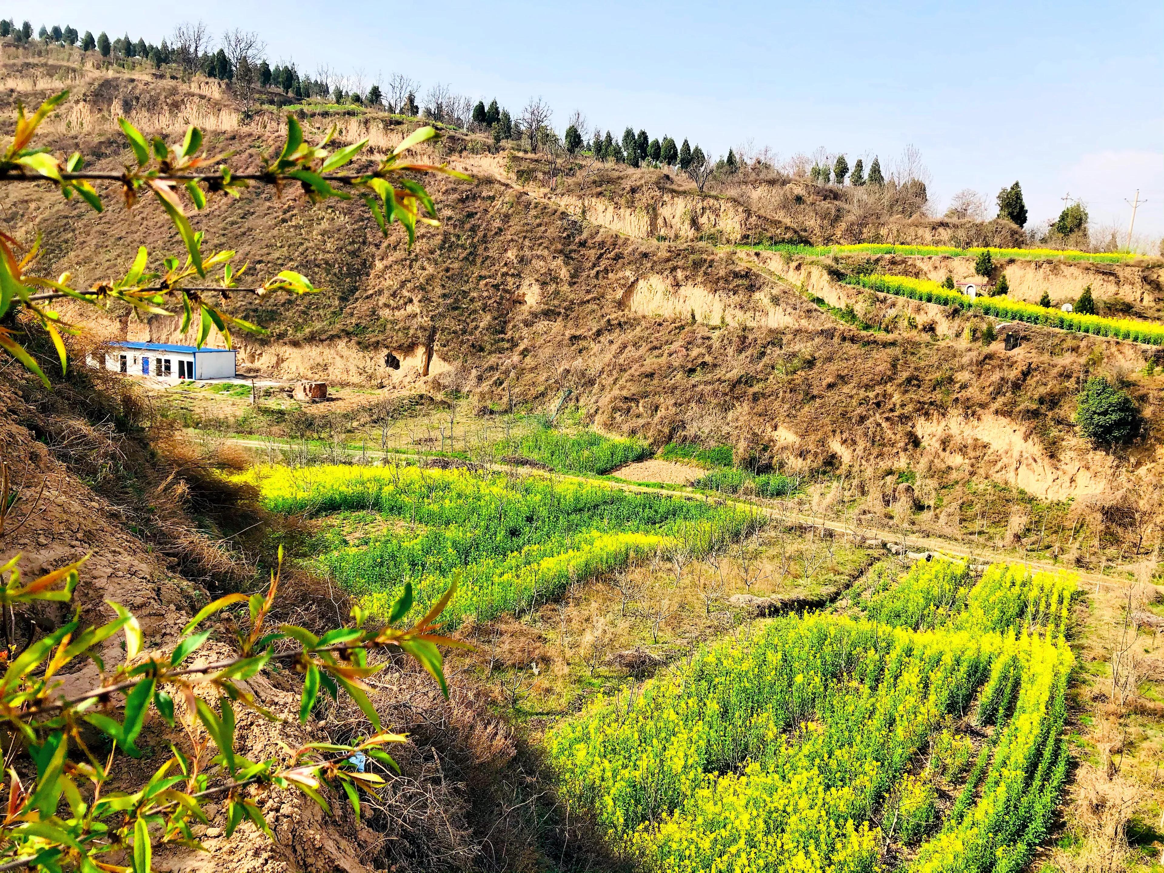 金塘半日游,白鹿原一日游攻略