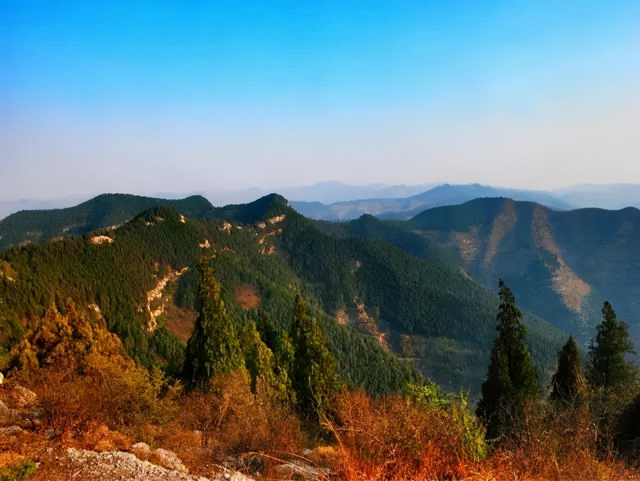 济南免费遛娃的地方,济南市十一带娃游玩好去处