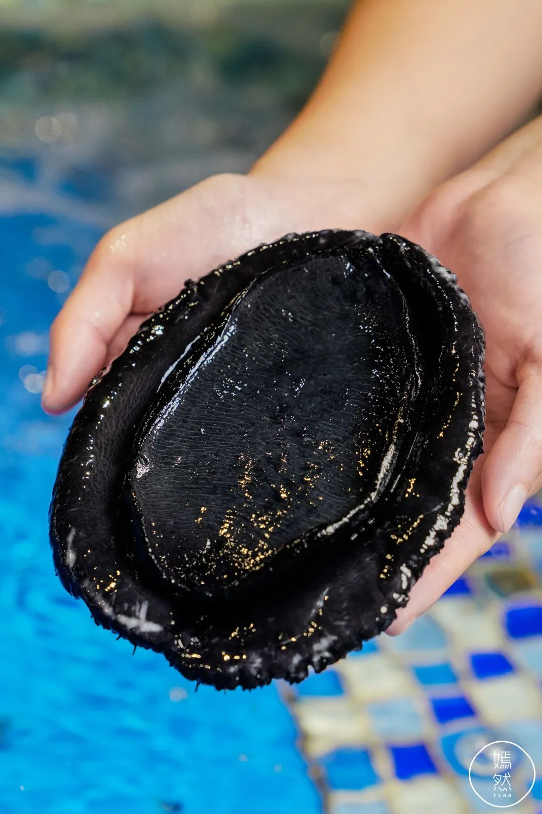 驶入厚街的「海鲜巨舰」,秋日鲜味来袭