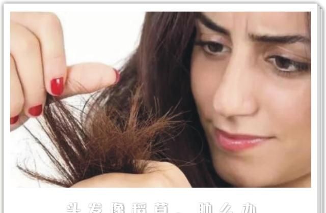 头发经常染一烫就焦怎么解决,头发因为烫染如何修复