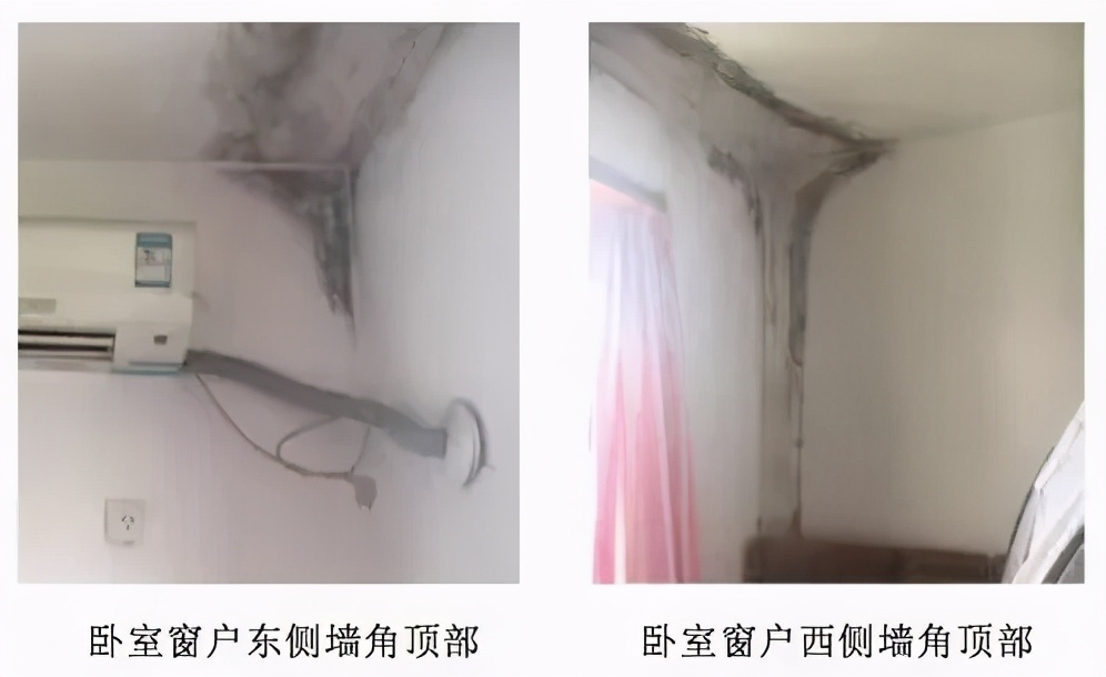 室内墙体霉斑怎么处理,窗户附近的墙发霉怎么处理