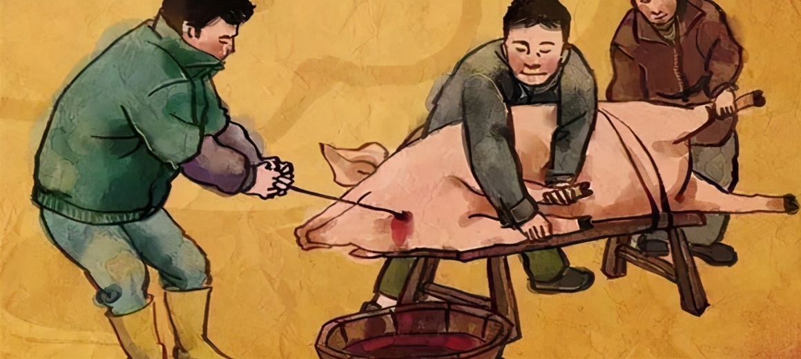 如何应对杀猪盘的股票,看看你是不是潜力股