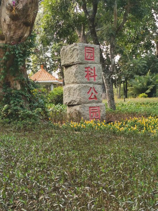 深圳五十个免费景区,深圳五一免费公园