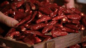 经常吃油炸辣椒会长胖吗,喜欢吃葱姜蒜辣椒会长胖吗