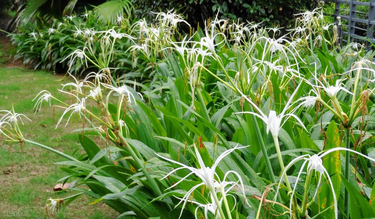 伏的意思都有哪些,伏的意思大全