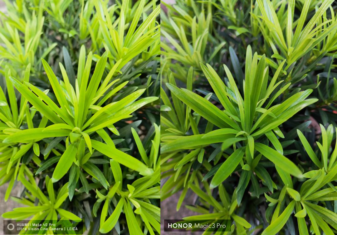 荣耀magic3pro对比oppofindx3pro,荣耀magic3provsmate40pro