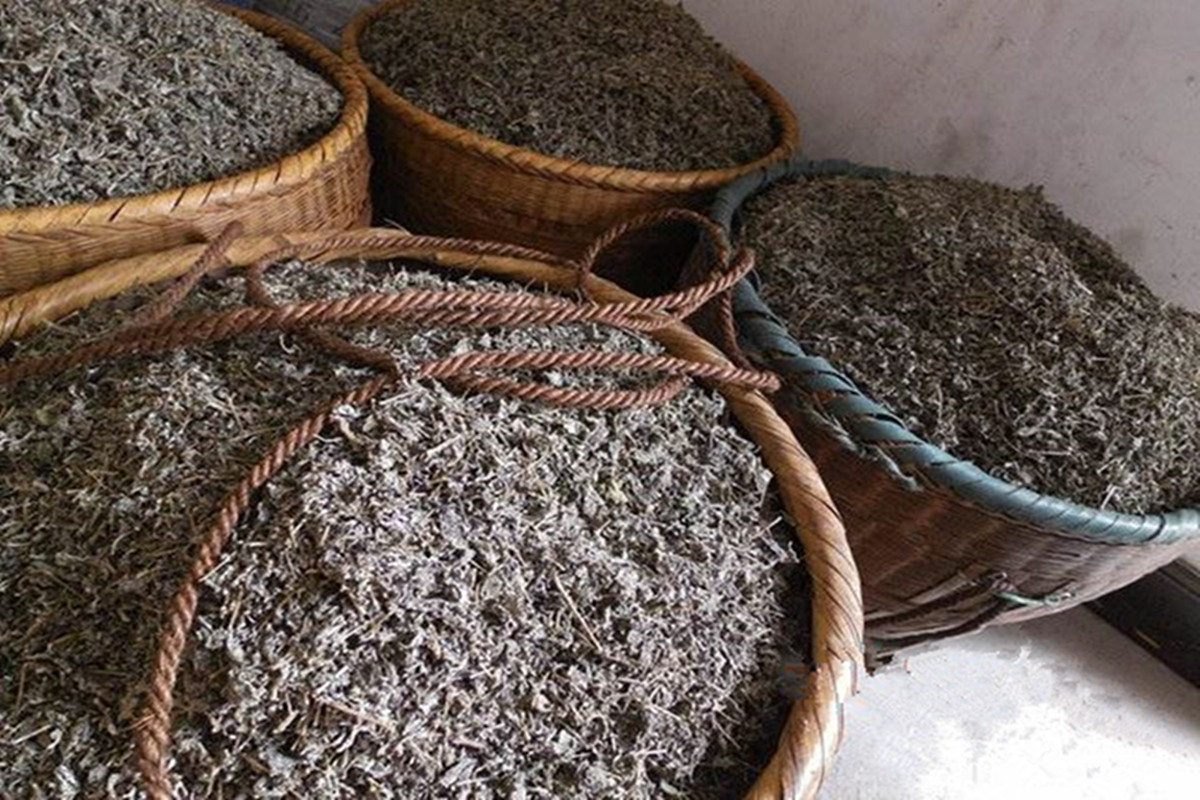 正宗莓茶春茶,茶香莓茶