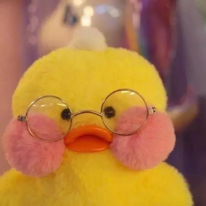 36张网红玻尿酸鸭头像图：遇见就好了，余生就算了