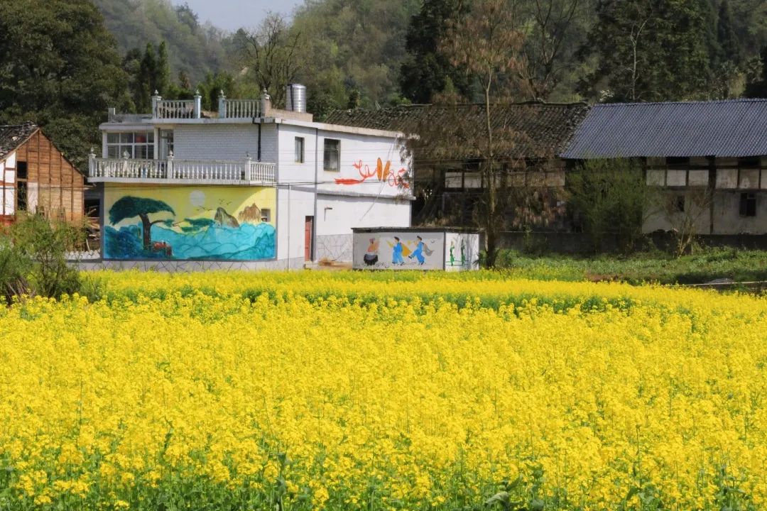 赏春图鉴丨赏花海、品清茶、尝美食...乌当百宜镇这条宝藏春游线路,就等你来打卡啦!