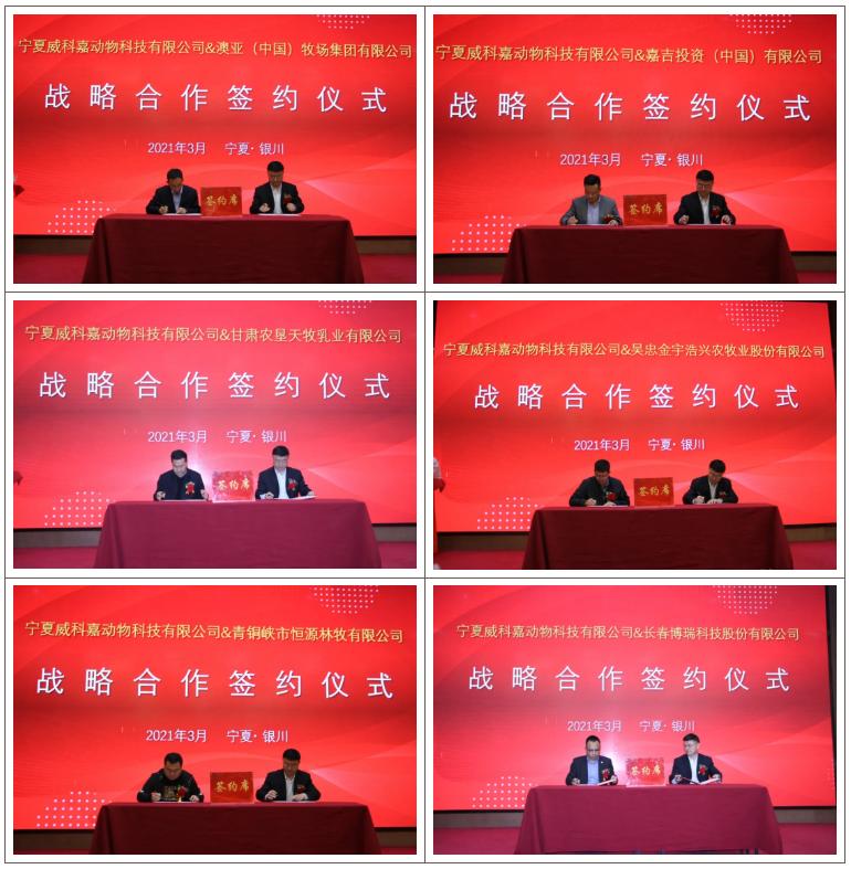 动物疫病检测国家实验室有哪家,畜牧疾病检测机构