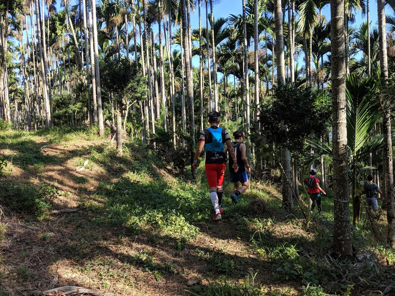 lasportiva越野跑鞋,lasportiva