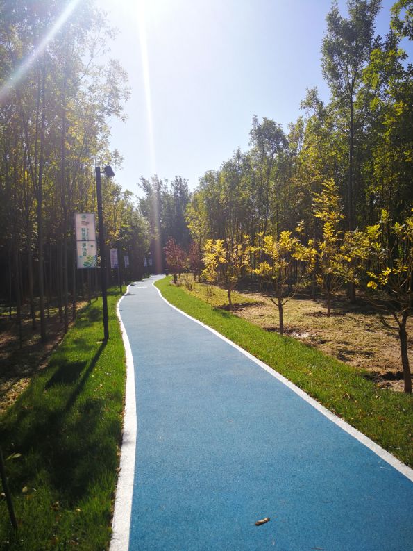 廊坊三叶公园项目信息,廊坊三叶公园附近