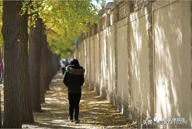 顺义65岁免费景点,顺义2022年免费景点