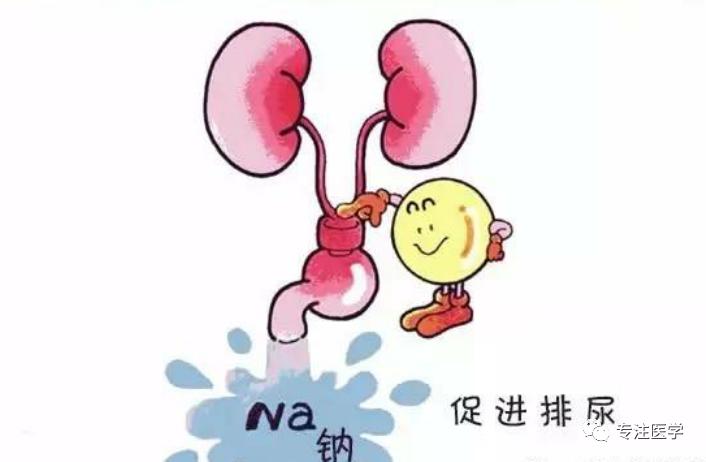 心衰常用药物,心衰常用药物有什么