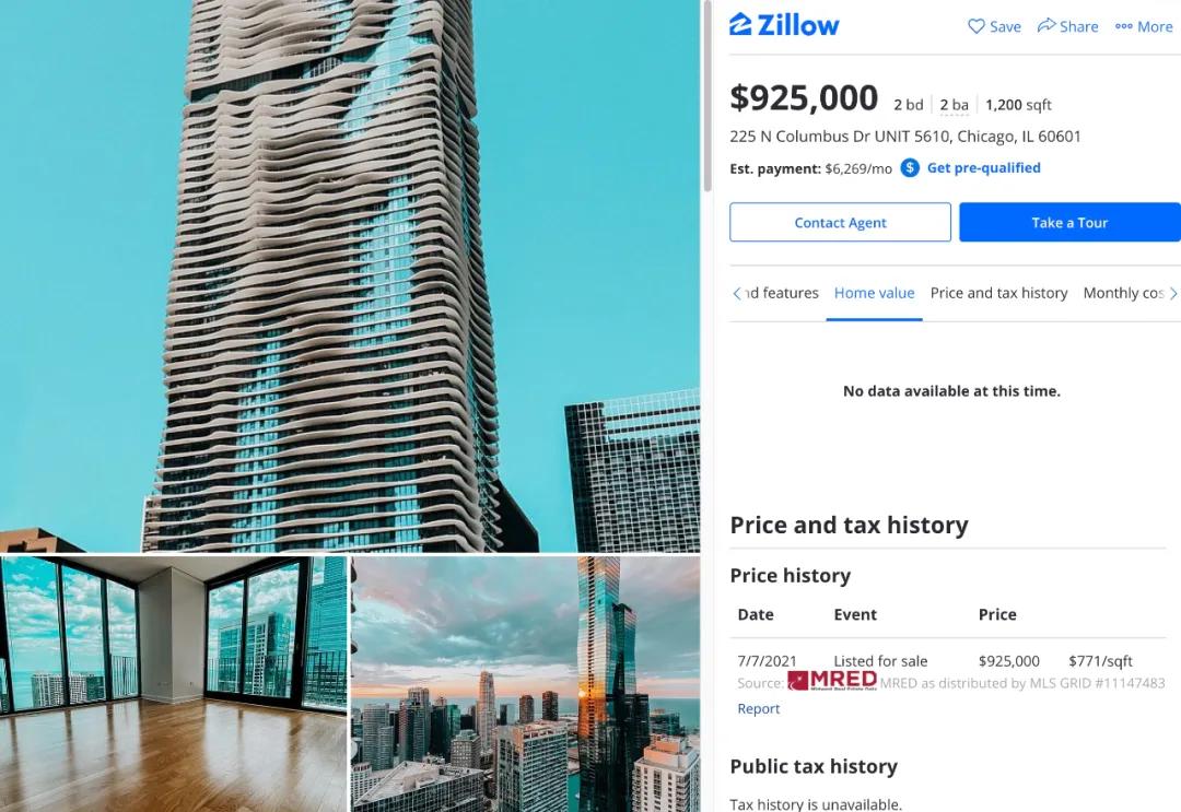 100万在国外能买到什么样的房子,在美国100万能买什么样的房子