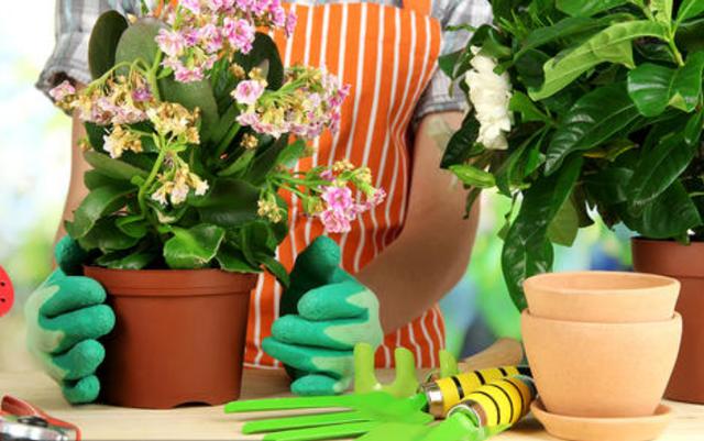 土壤雨后板结如何给土壤松土,土壤板结自制肥料松土