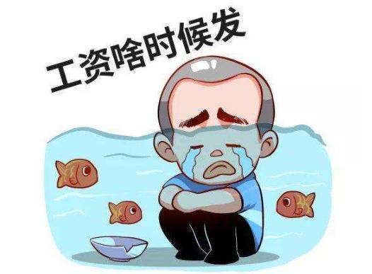 发工资的单位性质,发工资日期对应单位