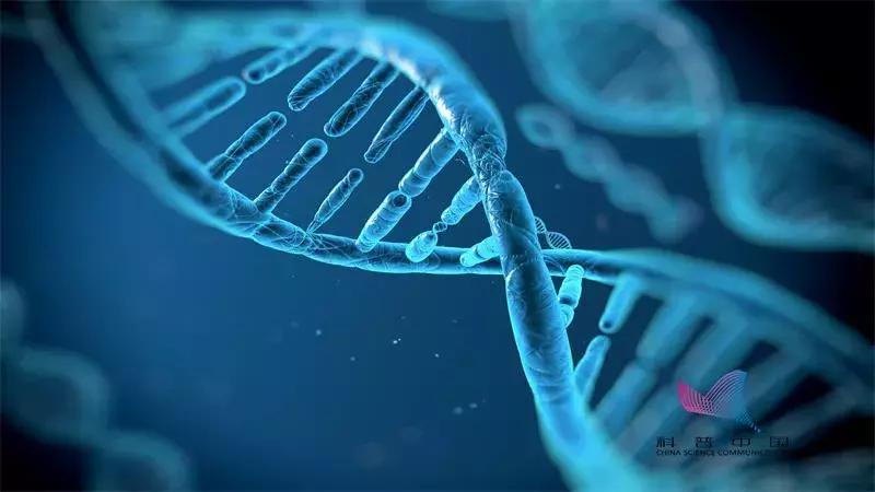 吃什么也吃不饱是个什么病,怎么吃都吃不饱是什么病