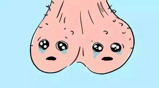 睾丸扭转720度手术后多久能恢复,睾丸扭转90