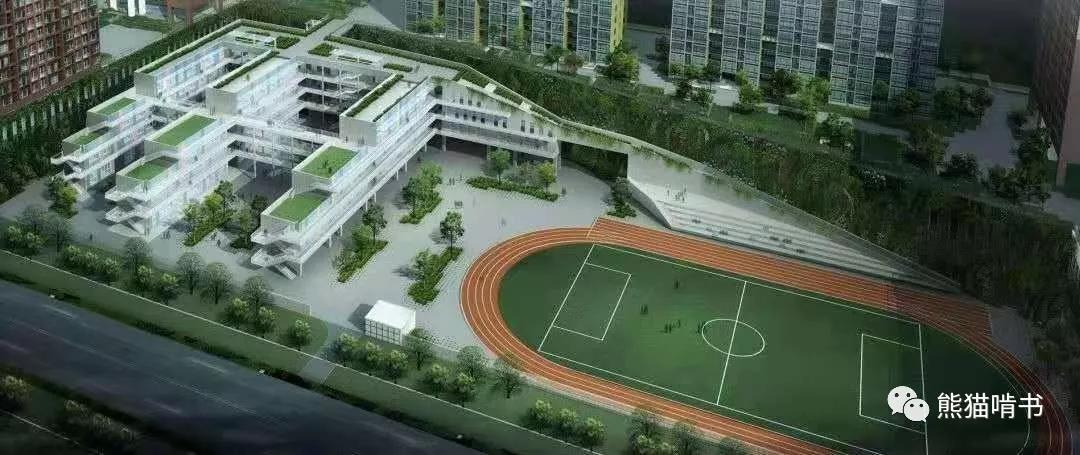 深圳南山外国语小学排名,深圳南山区最好的小学