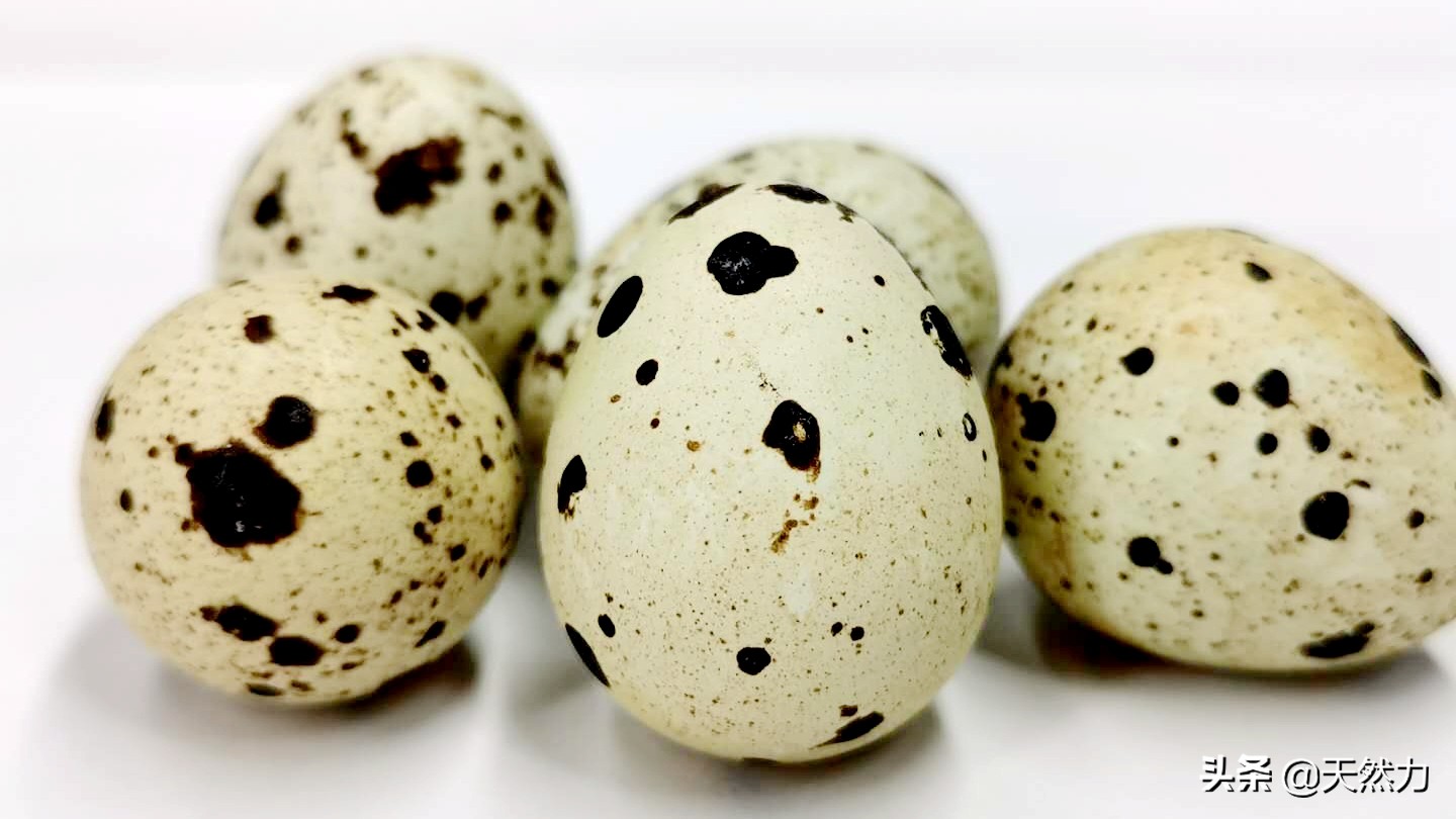 鹌鹑蛋剥壳怎么最快,鹌鹑蛋怎么剥壳最简单的方法