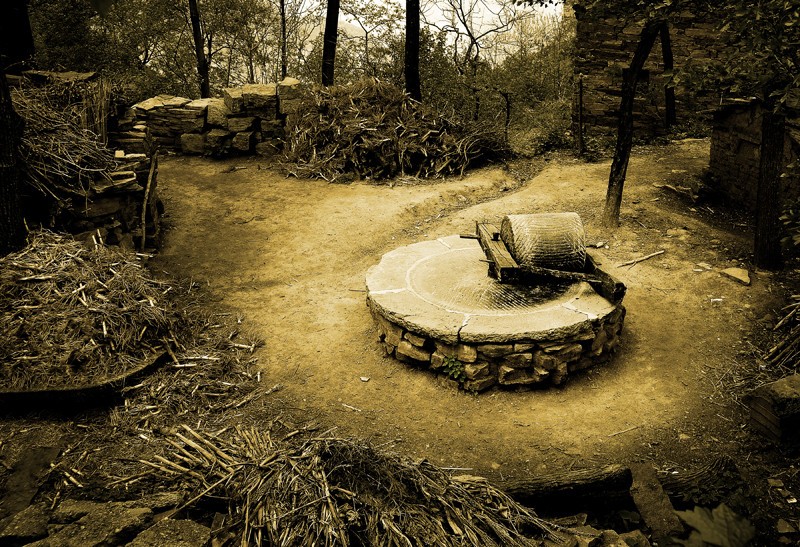 墙根蹲着的老大爷,墙根下的老人视频