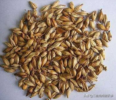 母乳喂养断奶原则,母乳喂养断奶最好的方法