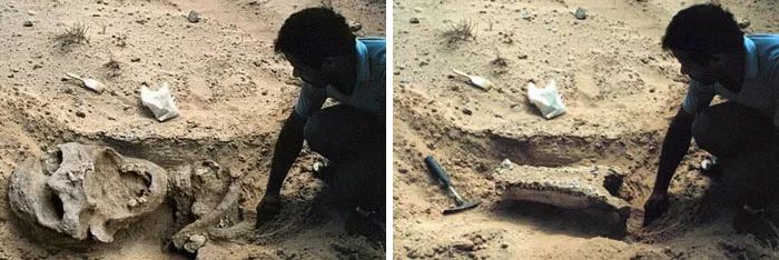 网上你看到的照片可能是假的,网络上的照片都是假的