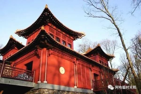 国内可以看熊猫吗,看熊猫要到哪里看