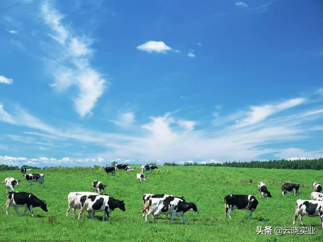 六和益民,六和饲料价格行情