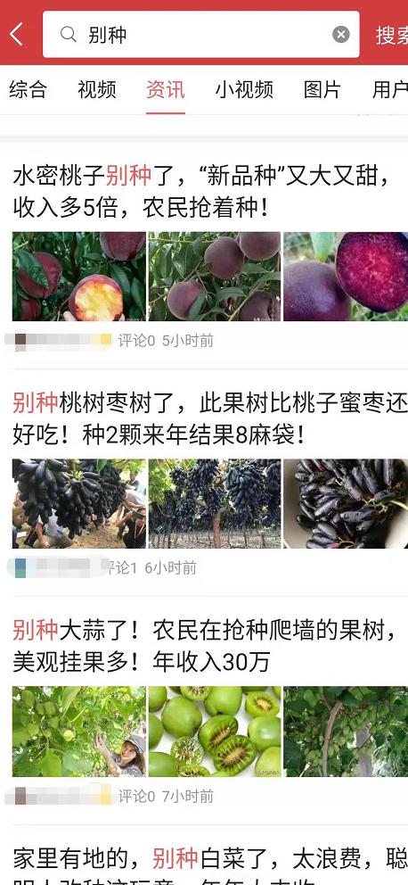 果树苗木销售方案,果树苗产品如何做好营销