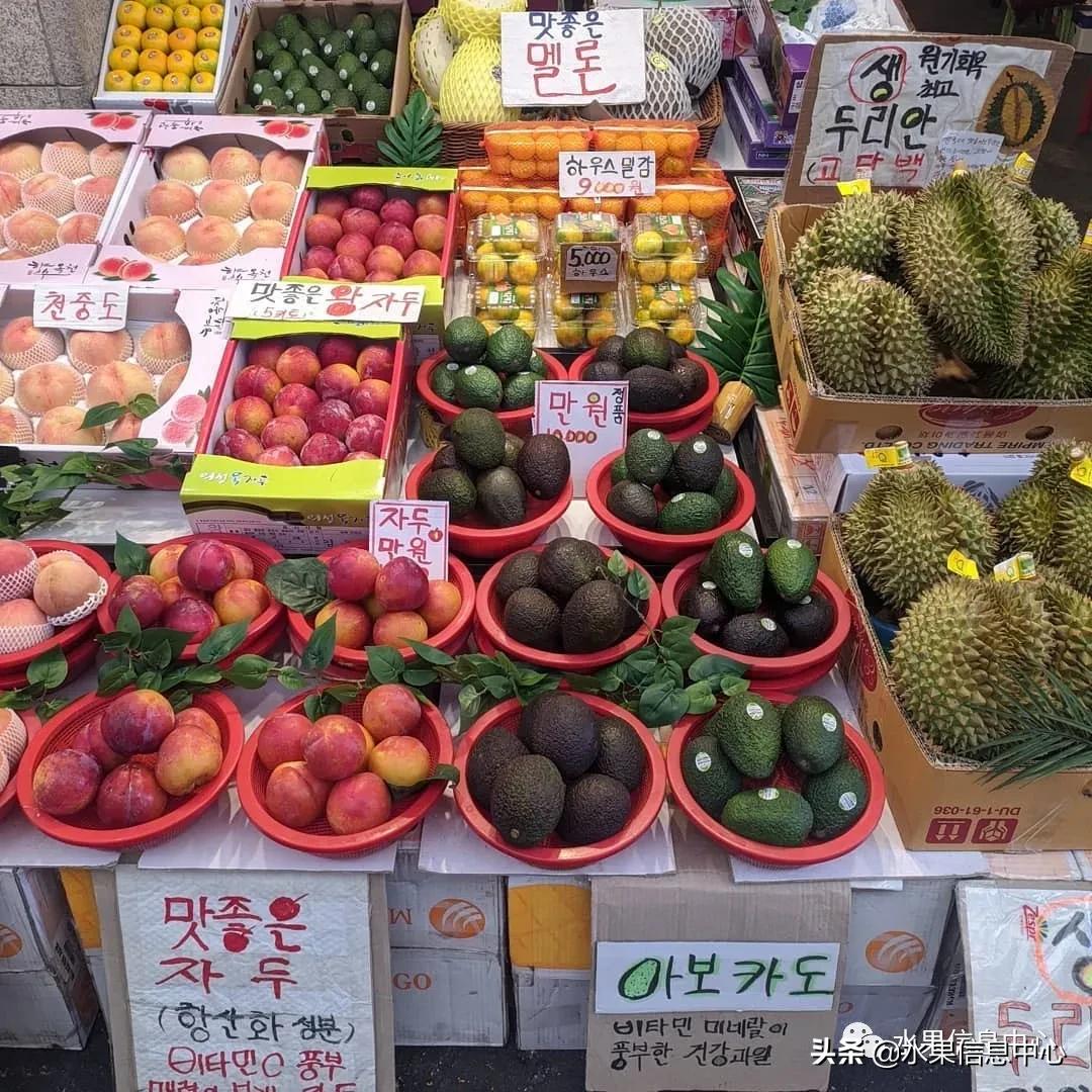 韩国的蔬菜水果批发市场,韩国最便宜的苹果水果