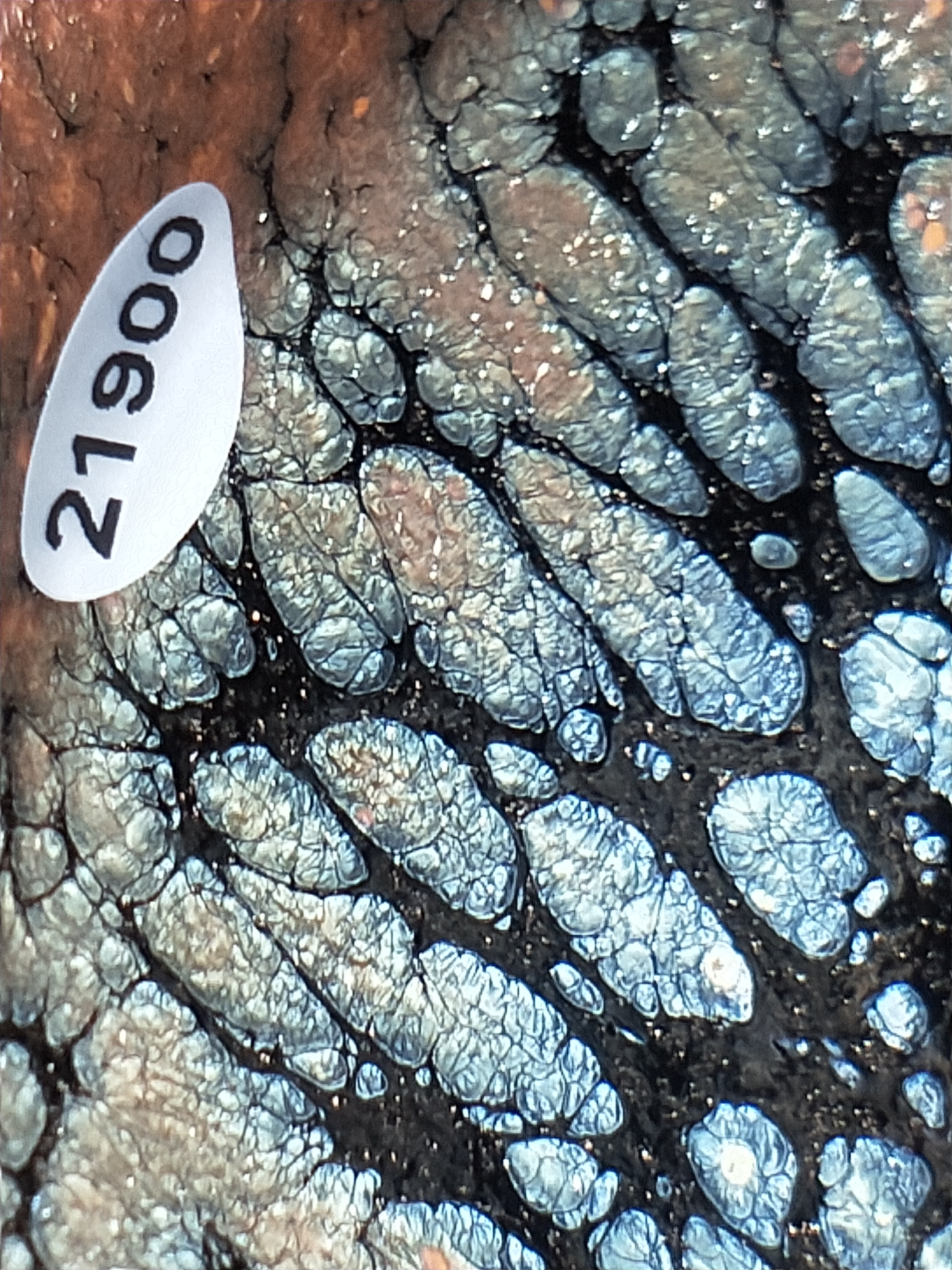 李达写的作品,李达实践论解读