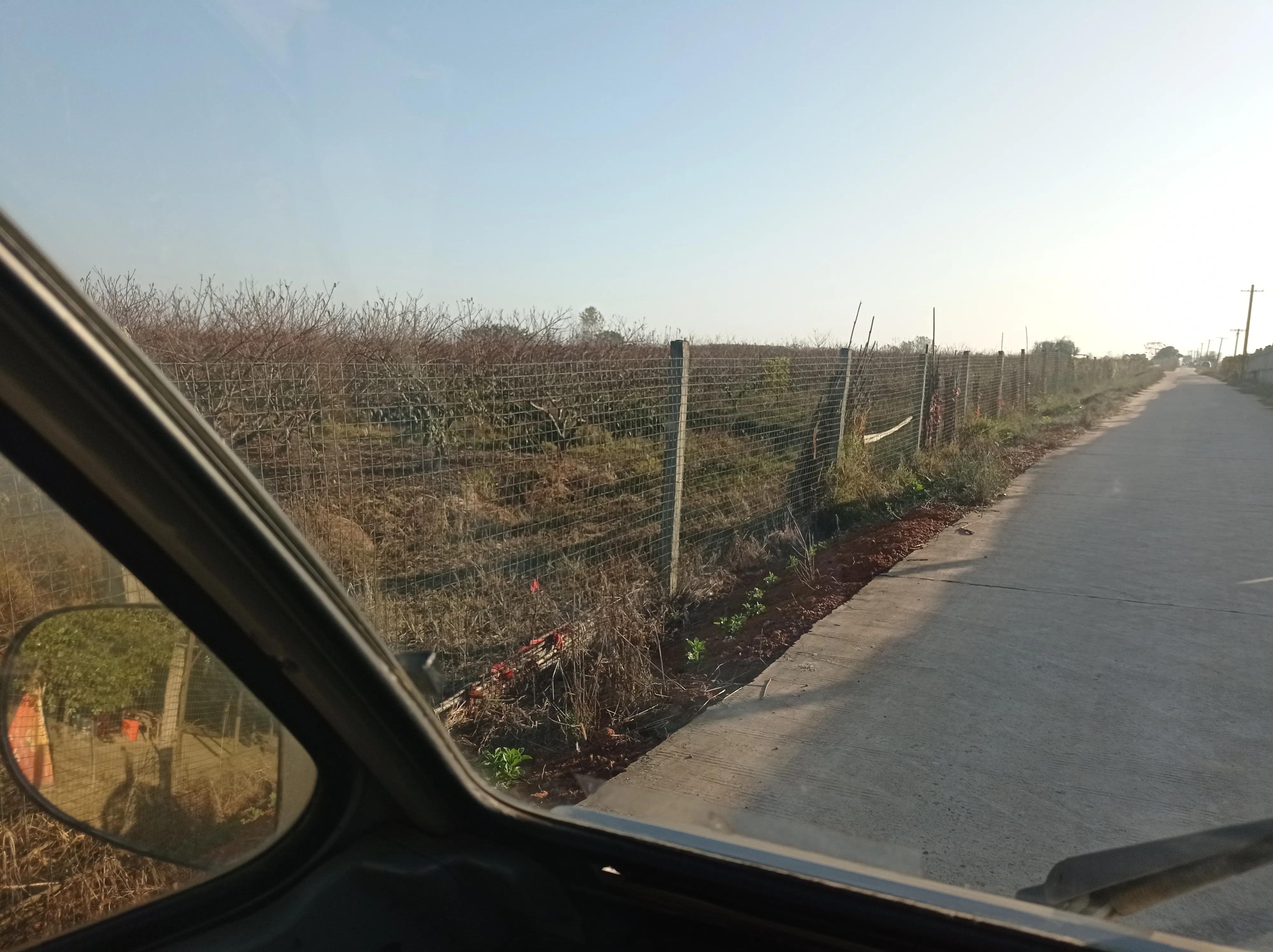 汉寿东仓湖生态水产,汉寿水产养殖基地