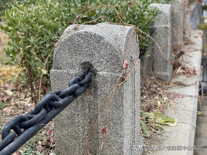 博古通今纵览,小编带你逛医院