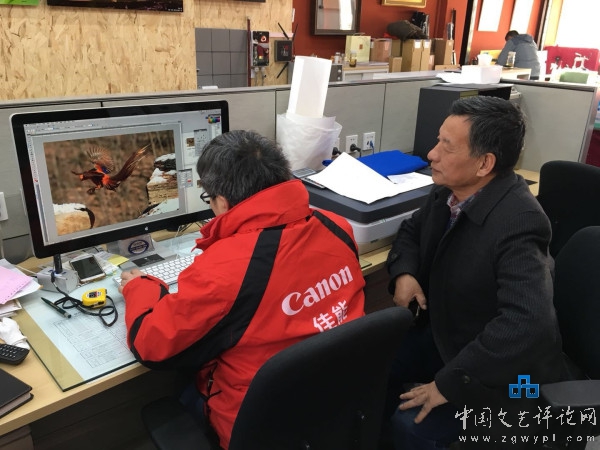 己亥新春艺术品送福名单,2019己亥猪年贺岁珍藏版金猪献福