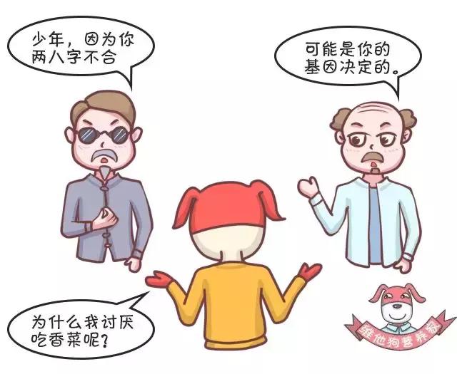 香菜、香椿……这些有味道的蔬菜,吃了有什么好处?