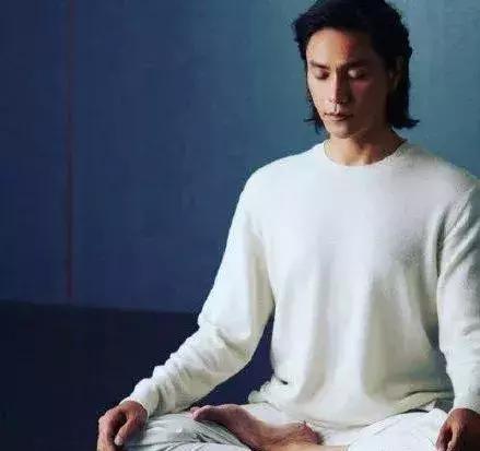 禅修陈坤,梵林国学