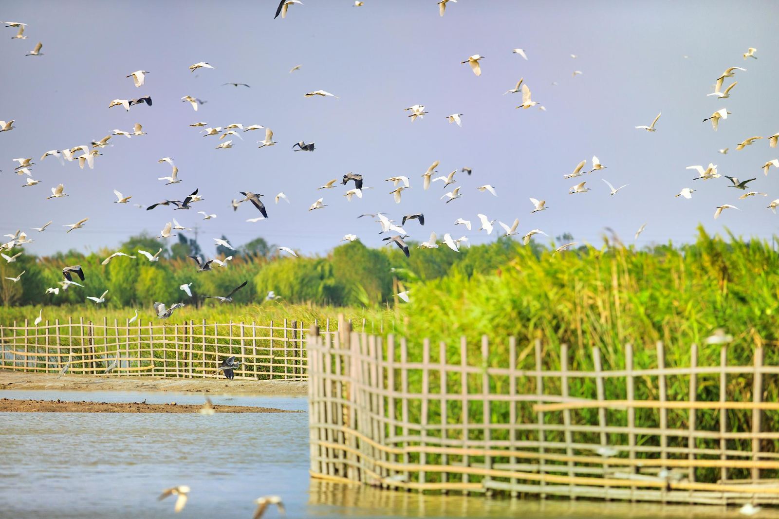 住杭州湾舒服吗,杭州湾新区适合住吗