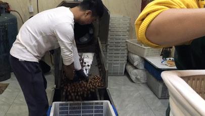 金味栗子在南京有几家店,好吃的栗子店有哪些