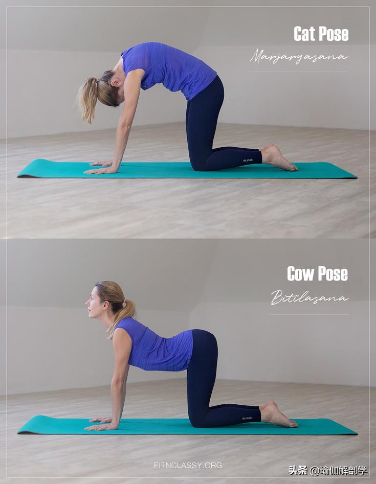 mysore180瑜伽精修序列第4套,新手入门瑜伽每天必练8个动作