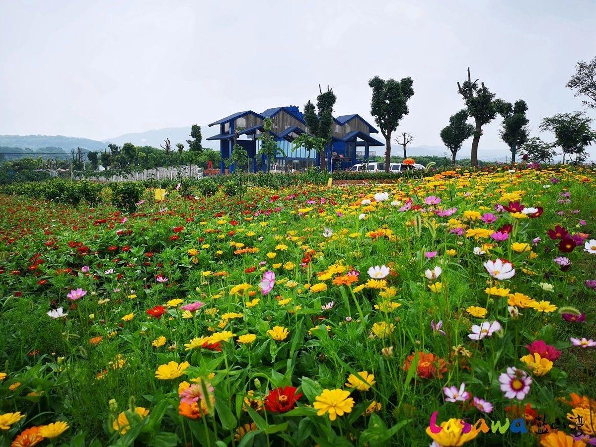 合肥玻璃漂流滑道,合肥滑漂