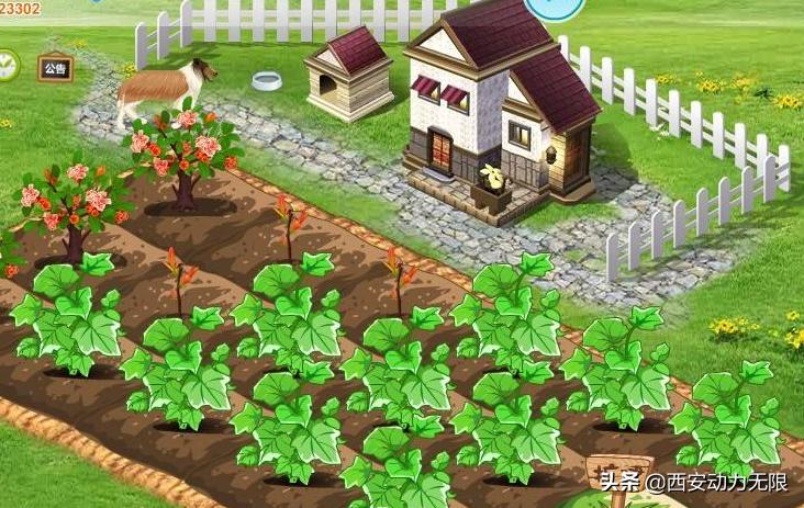 QQ帐号注销功能上线！今天你选择了注销账号吗？